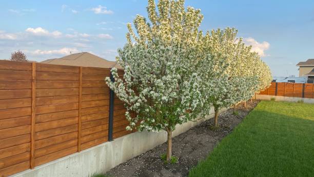 Find Top-Quality Fence Builders for Secure And Stylish Landscaping